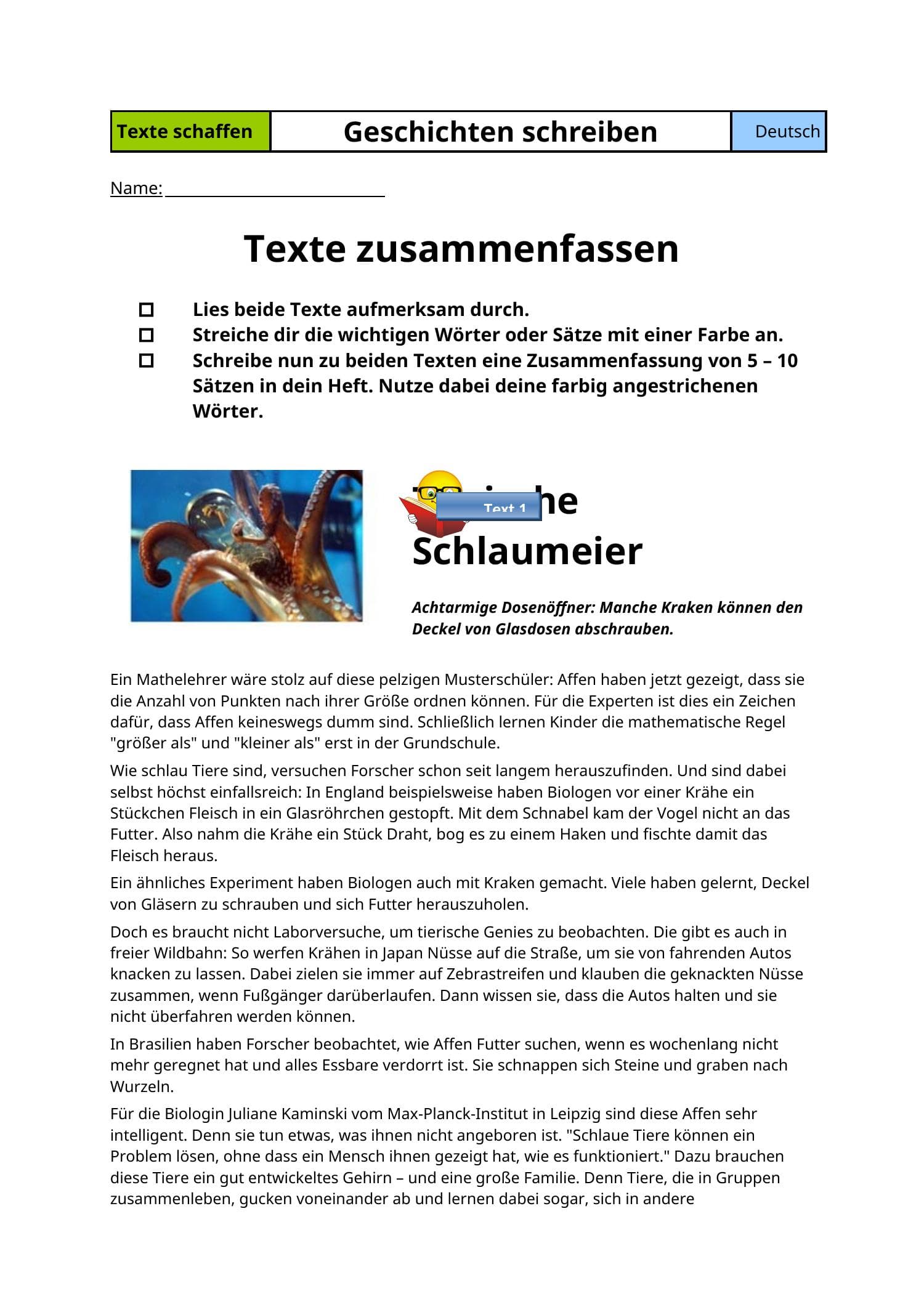 Document Preview