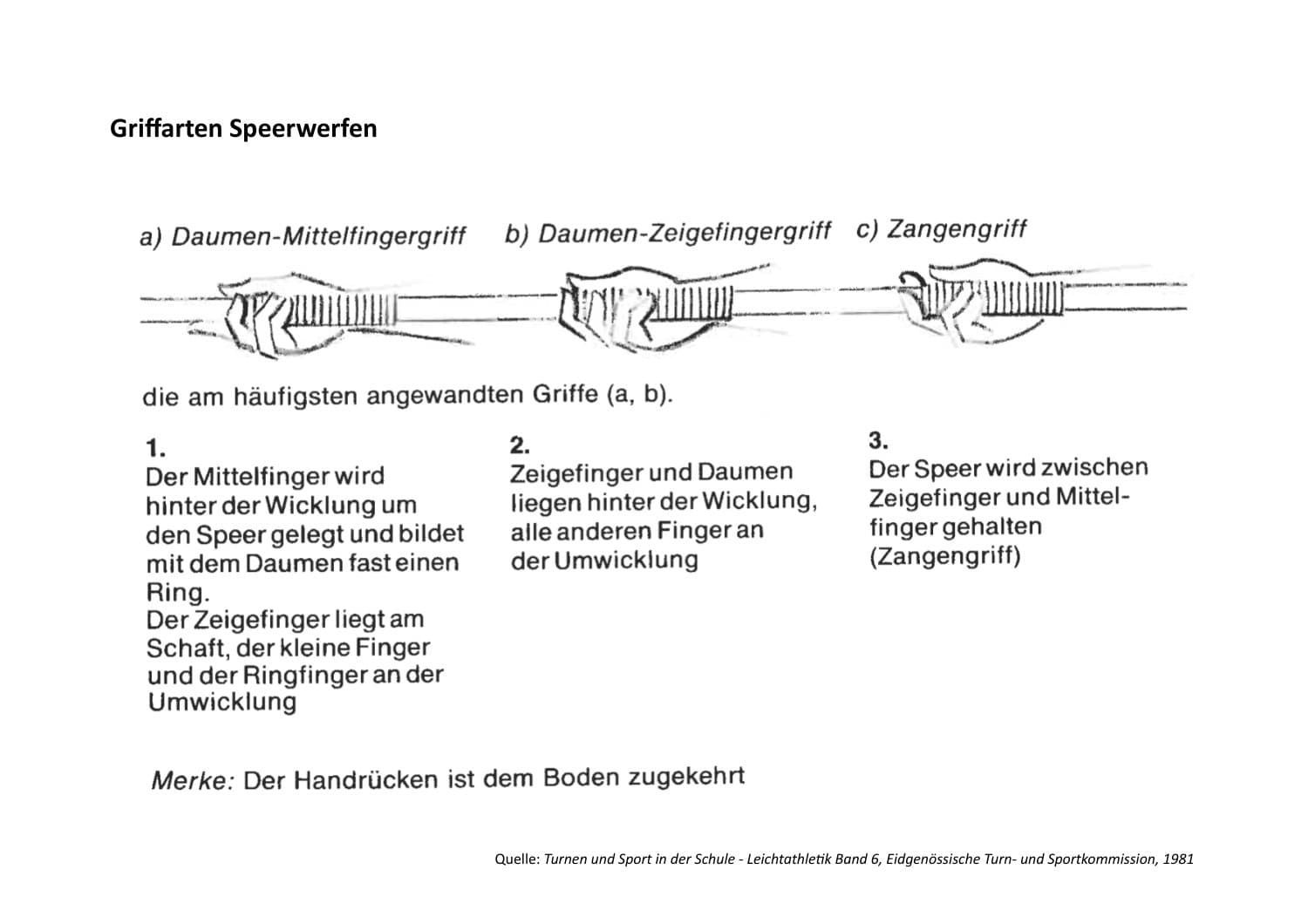 Document Preview