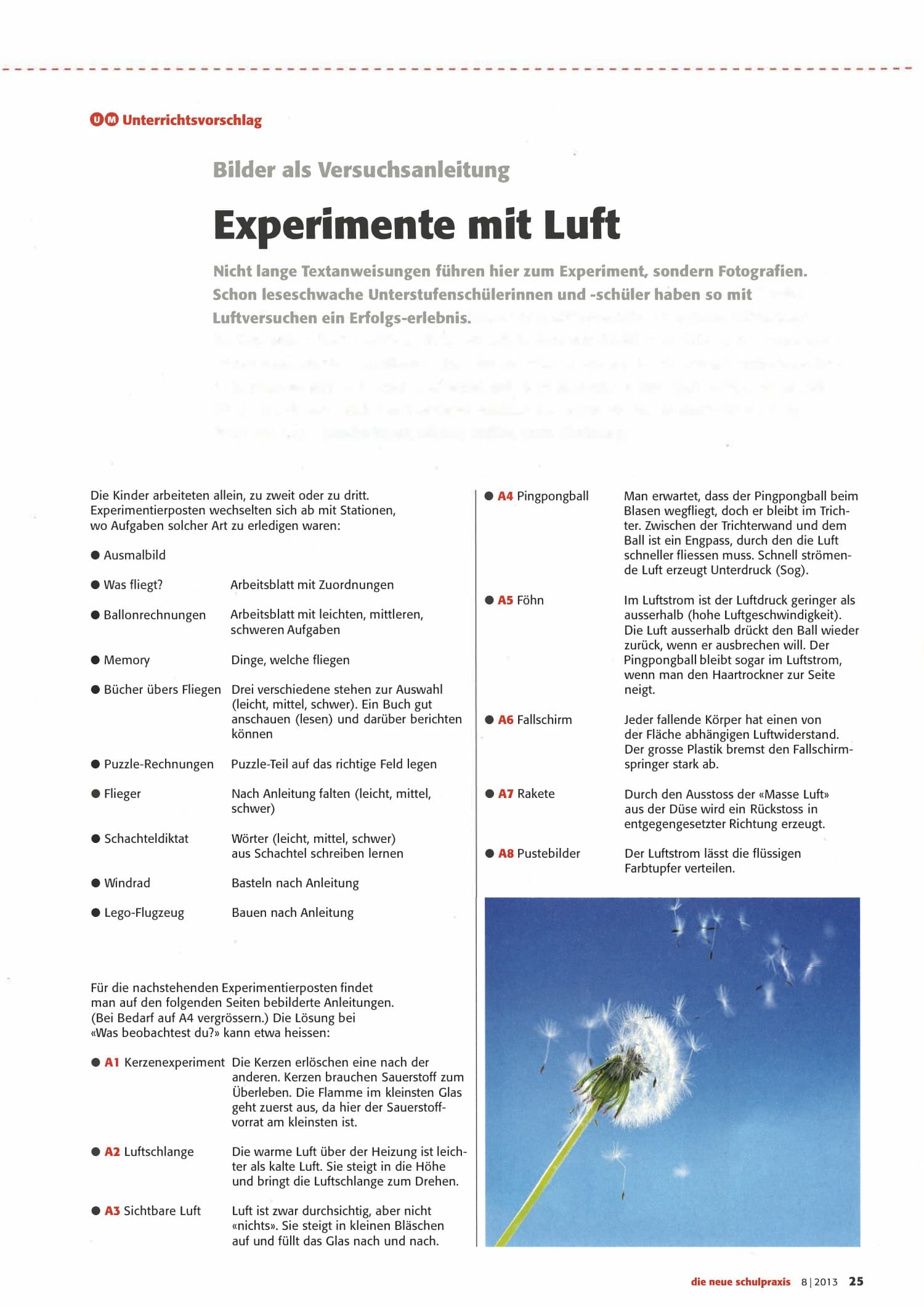 Document Preview