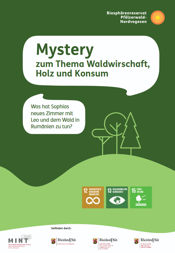 Mystery zum Thema Waldwirtschaft, Holz und Konsum