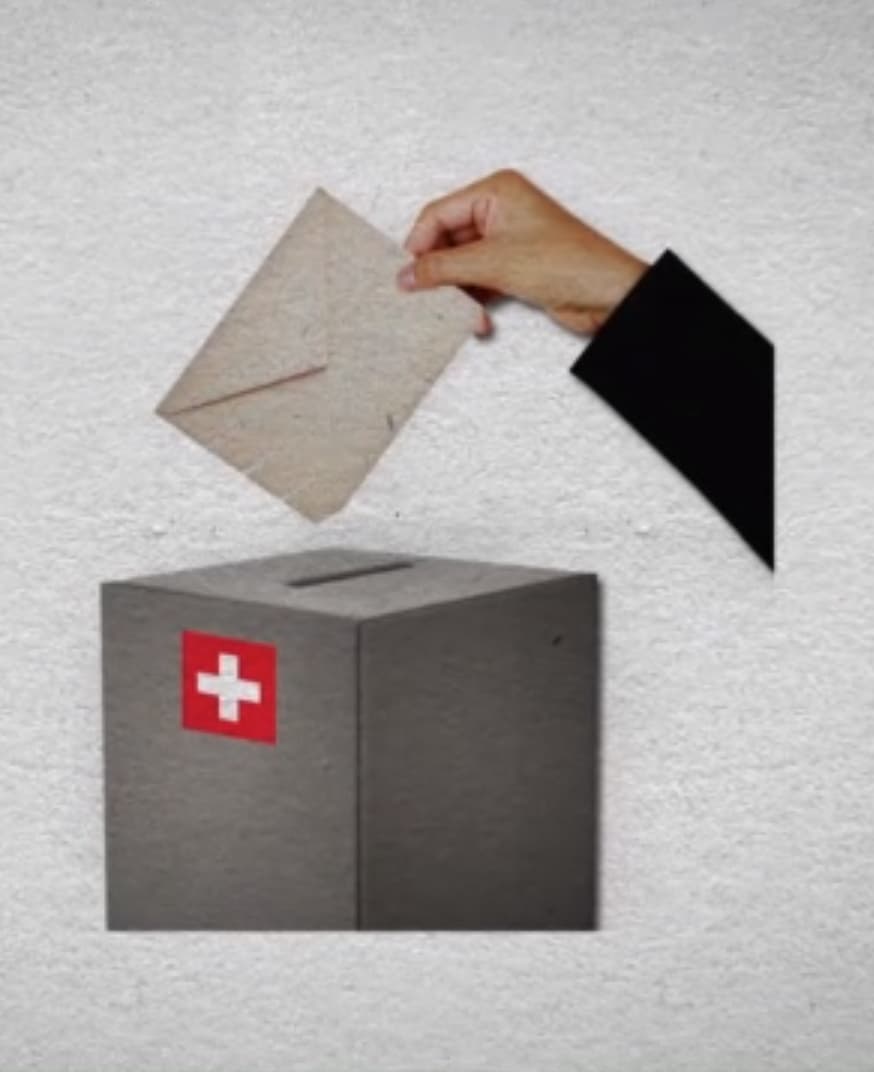 Politik und Gesellschaft: Wählen